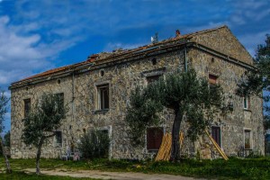 Immagine 2021-07-27 140920